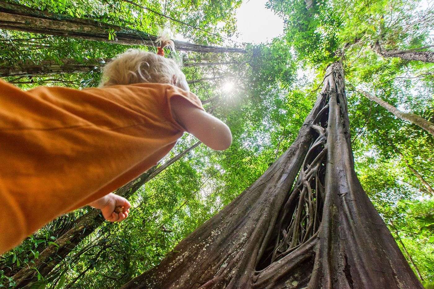 Randonnée à Saül en forêt tropicale amazonienne
