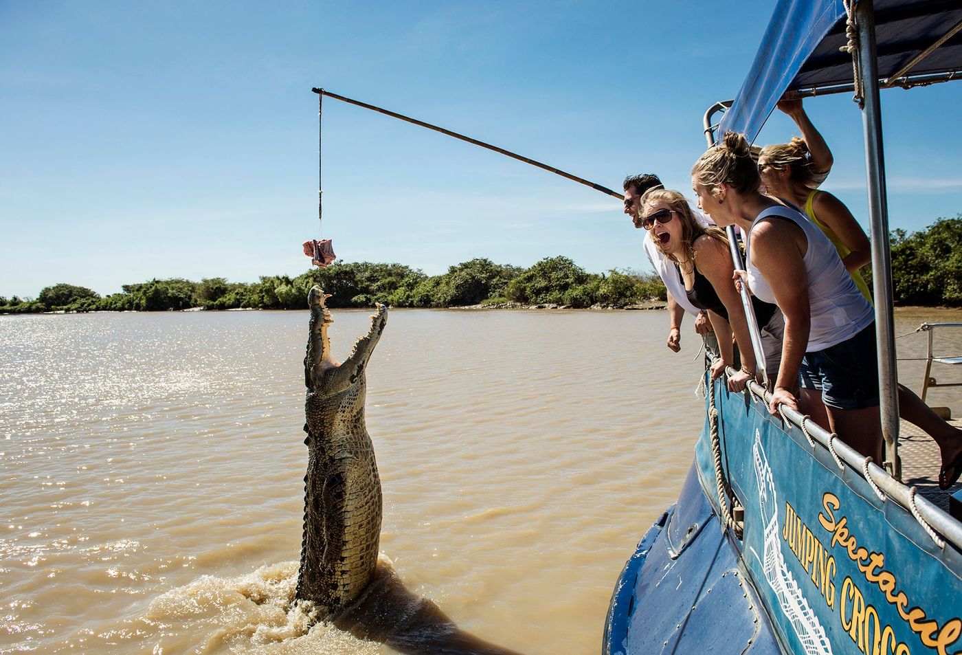 Saut de crocodile dans l'Adelaide River
