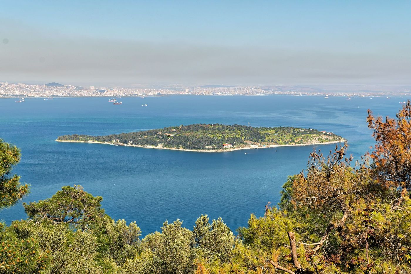 Sedef Adasi