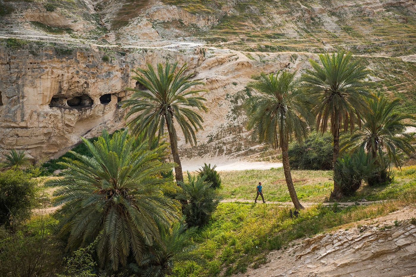Sentier d'Abraham Entrée du Wadi Quelt