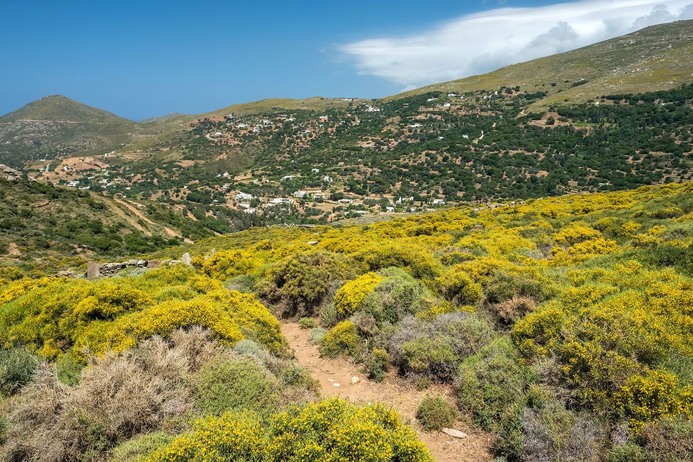 Sentier - Andros