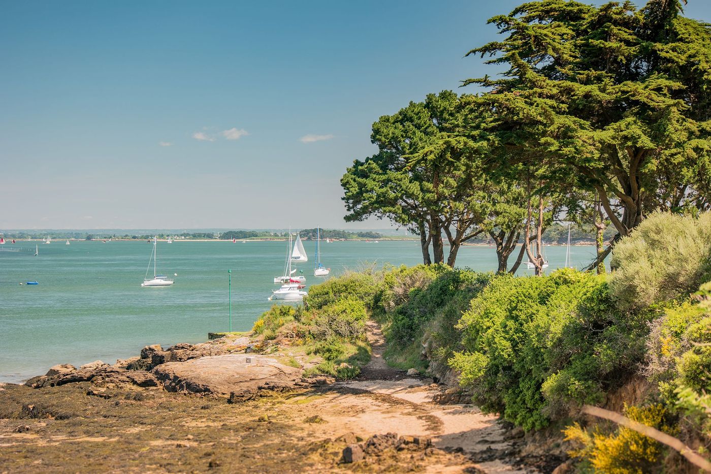 Sentier côtier à Sarzeau