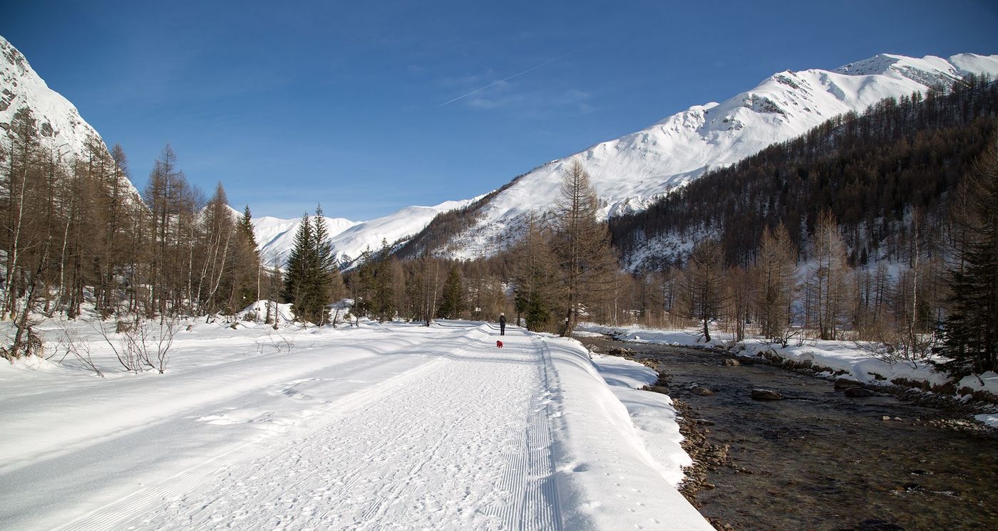 Sentier Courmayeur - val Ferret