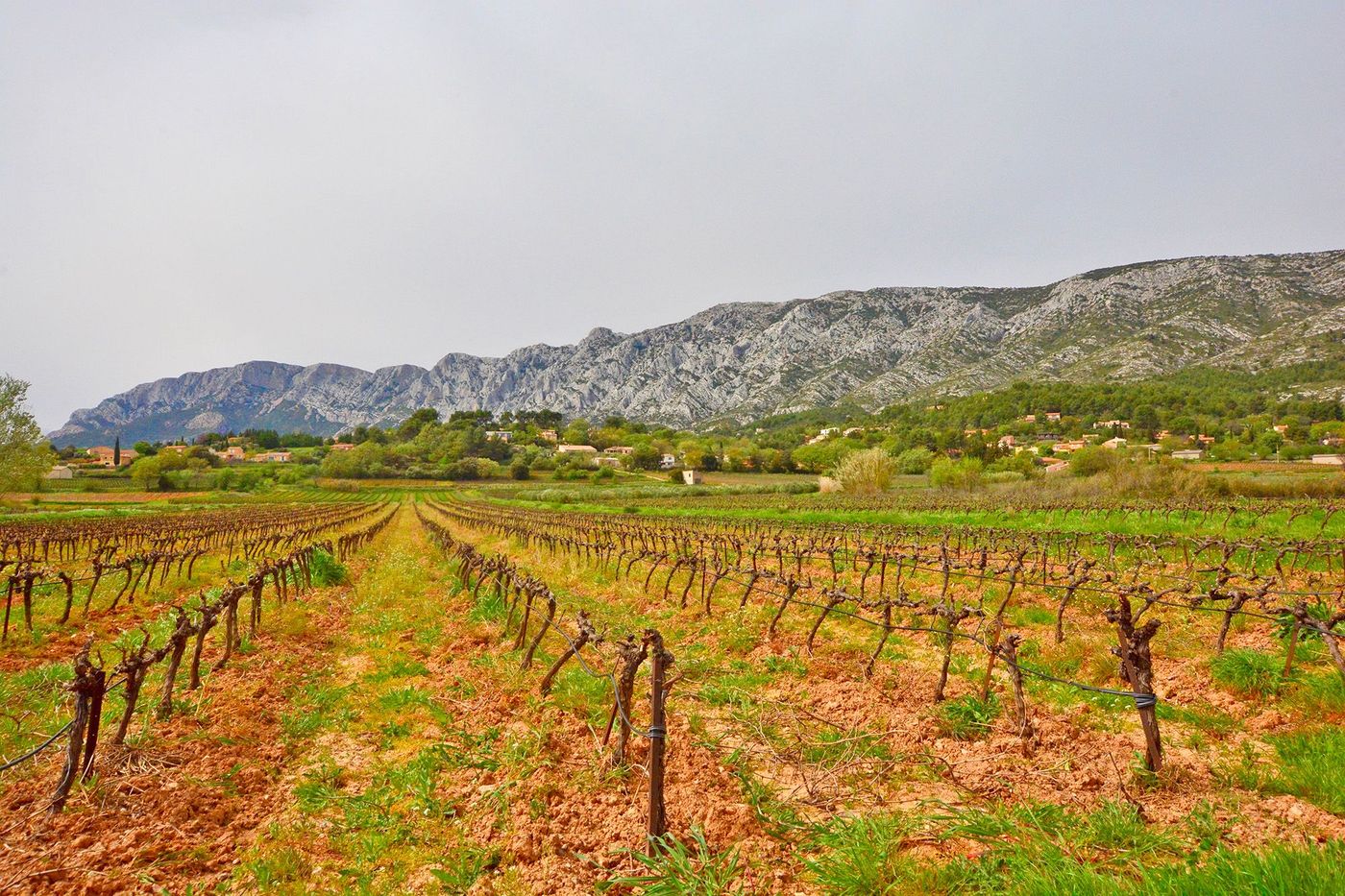 Sentier des Vignerons