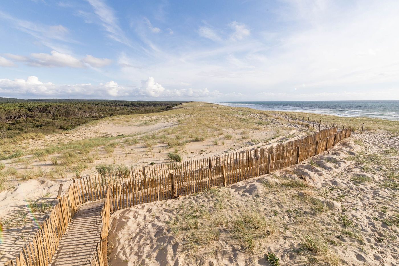 Landes Sentier de découverte de la Maillouèyre