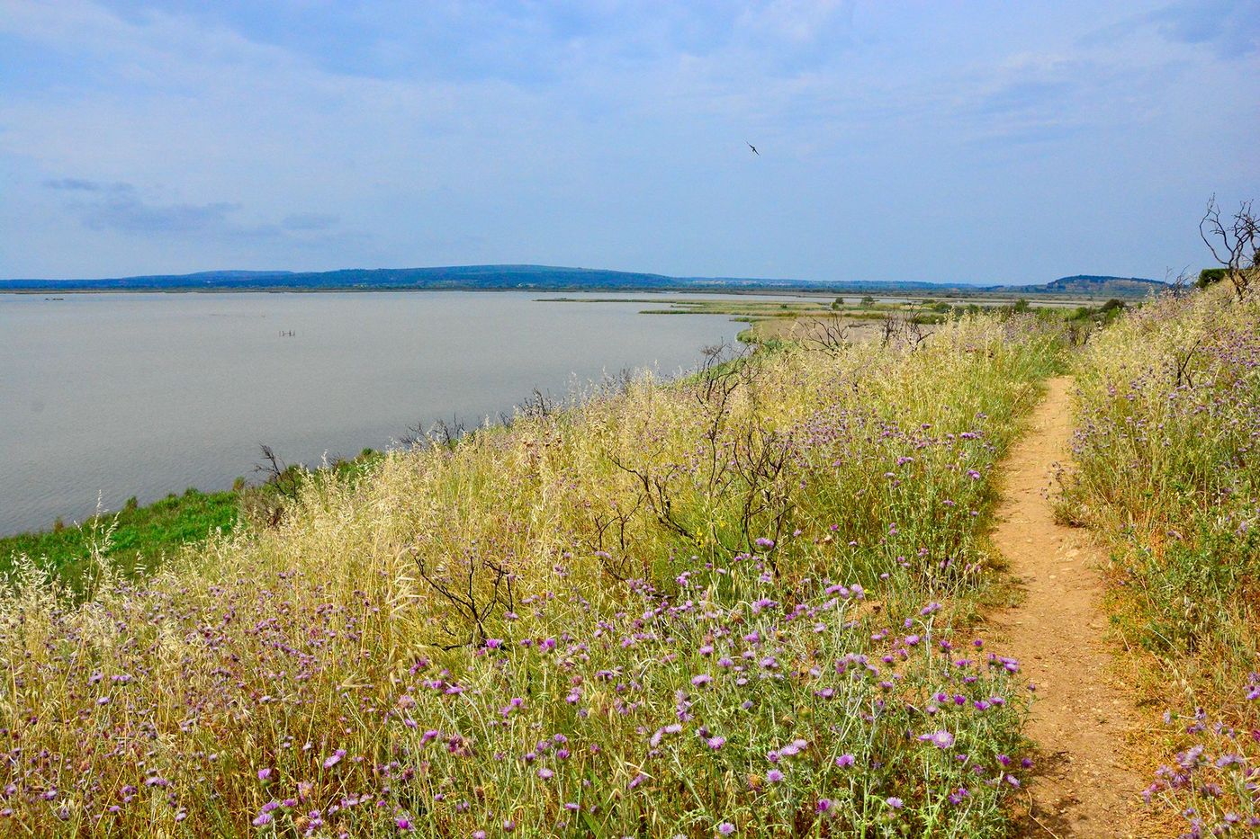 Sentier jusqu’à l’étang de Vendres