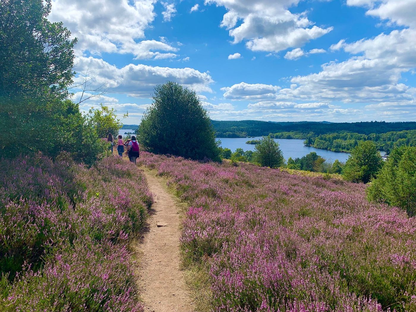 Sentier - Lac de Vassivière