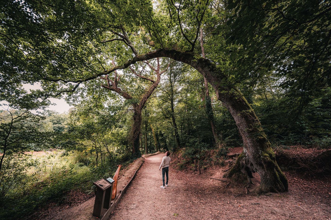 Sentier Penfoulic