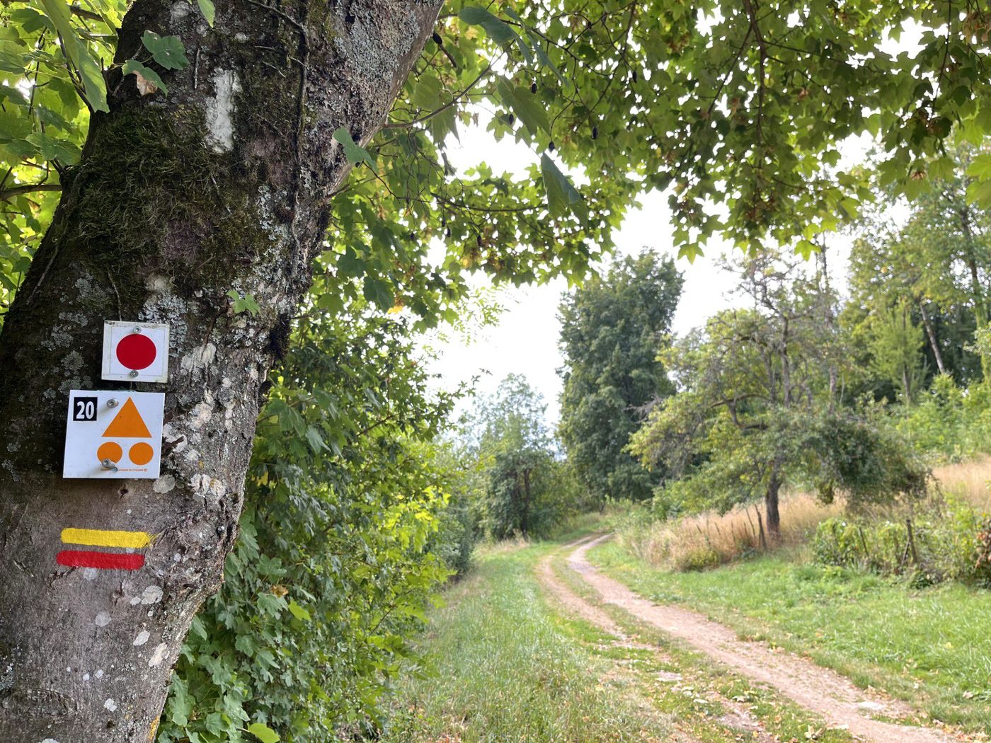 Sentier de randonnée Côtes de Meuse