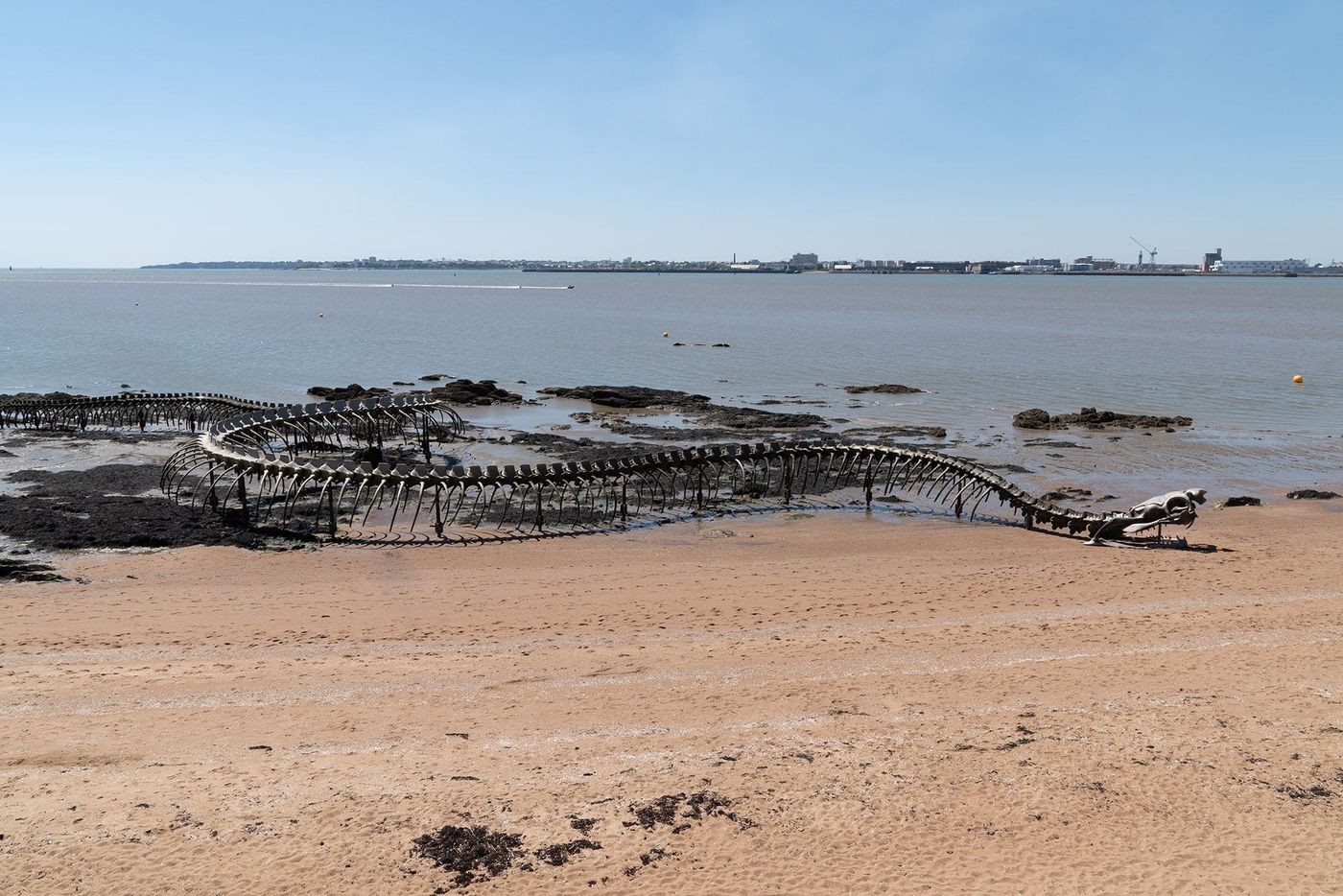 Serpent d'Océan à Saint-Brévin-les-Pin