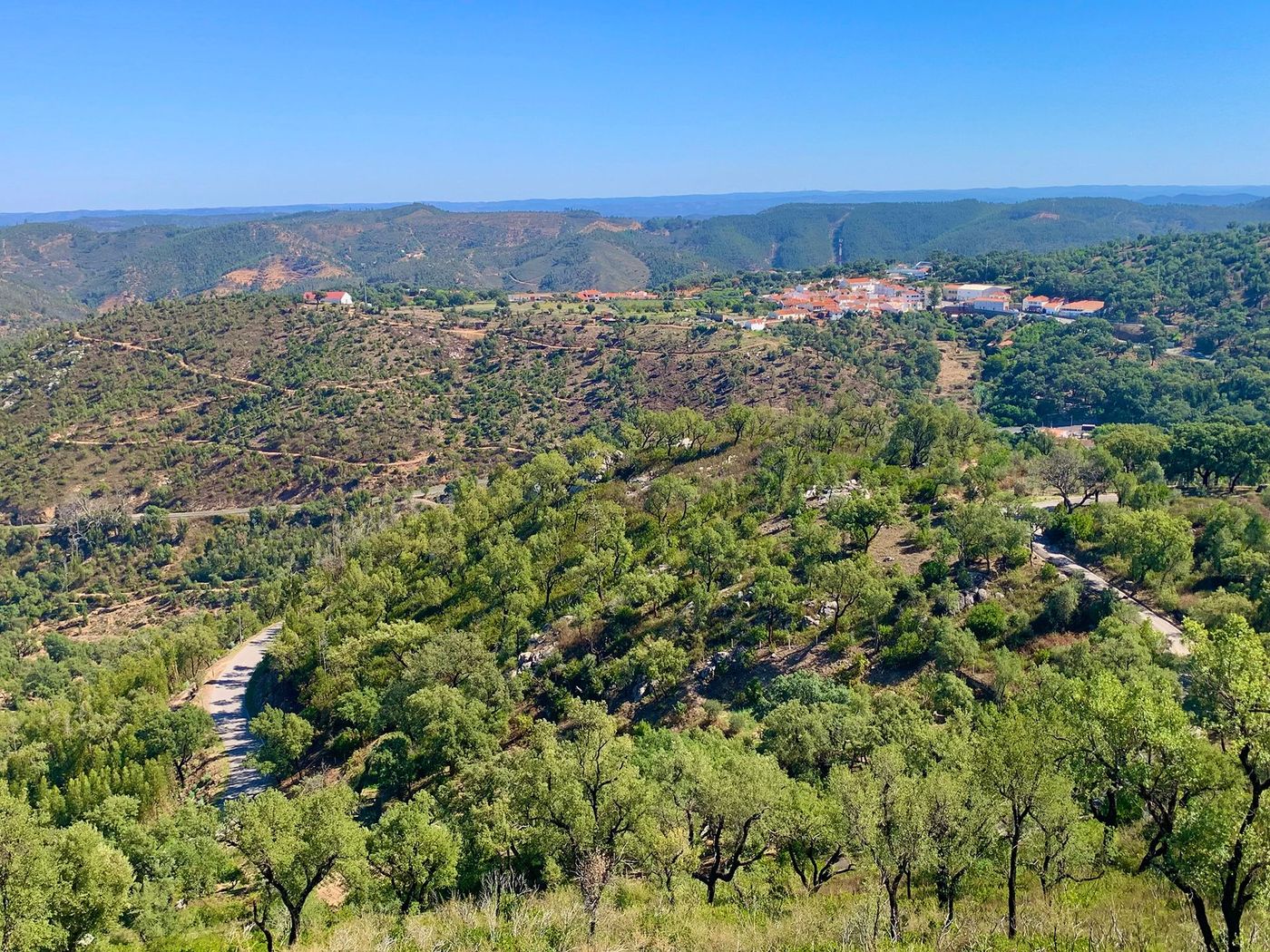 Serra de Monchique