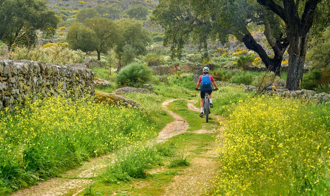 Serra de São Mamede - VTT