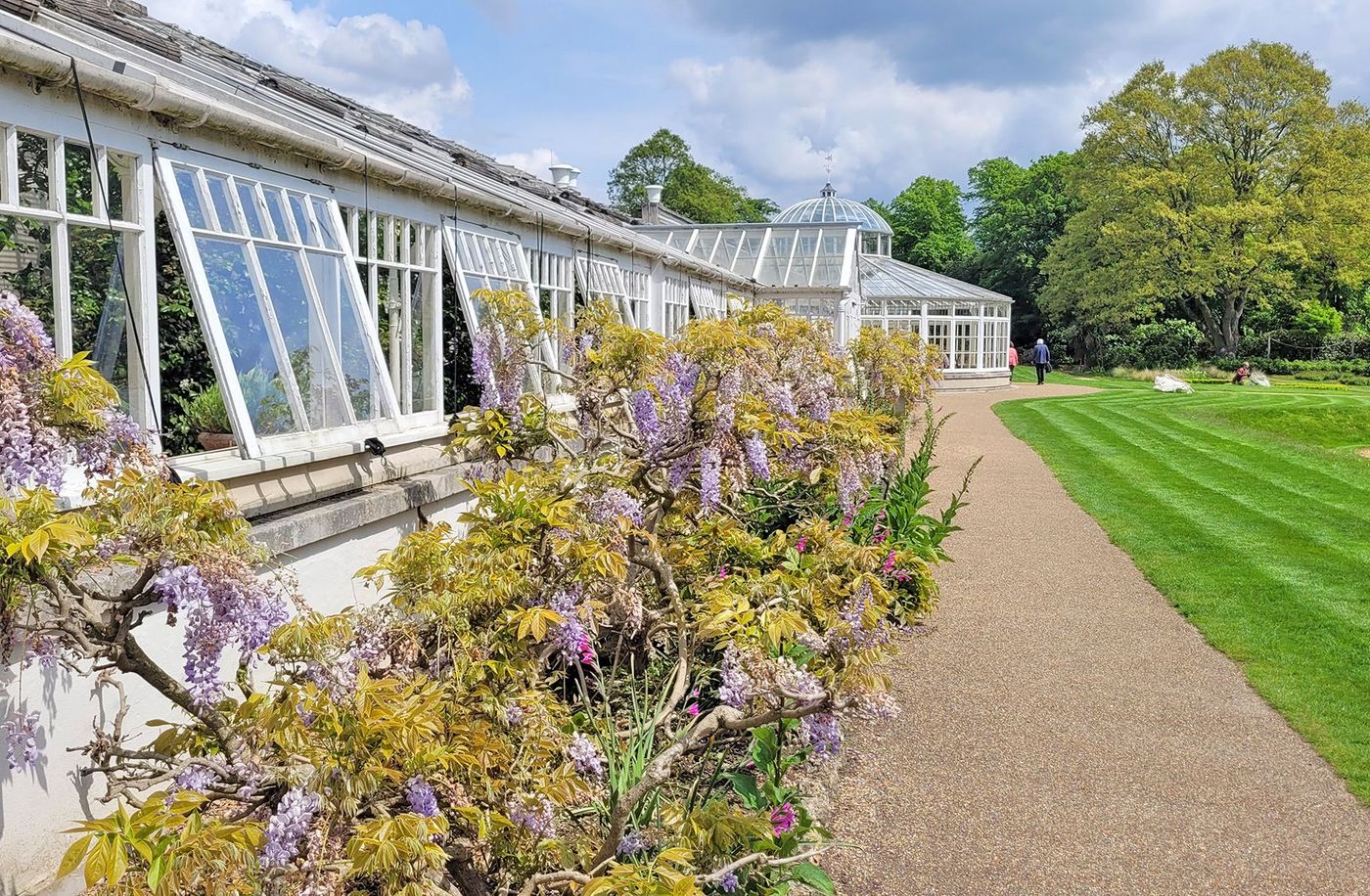 Serre victorienne - Chiswick House and Gardens