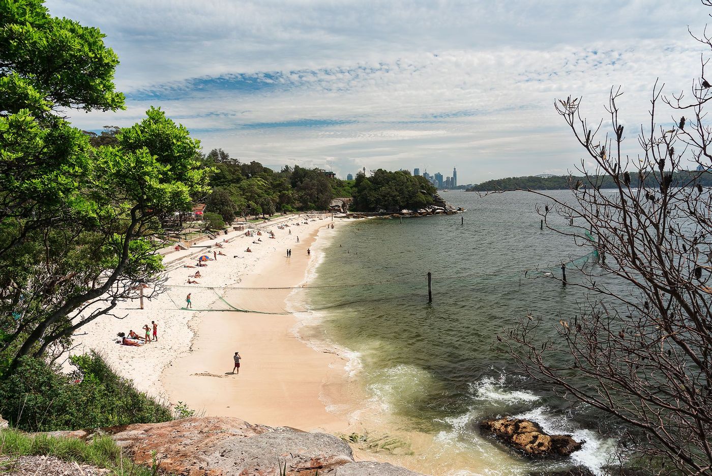 Shark Beach - Sydney