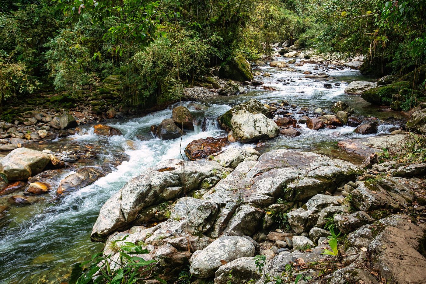 Sierra Nevada rivière