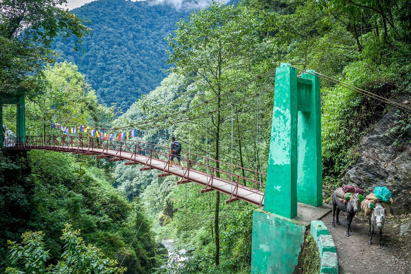 Sikkim Premier pont entre Yuksom et Sachen sur la rivière Pha Khola le premier jour du trek de Goeche-La