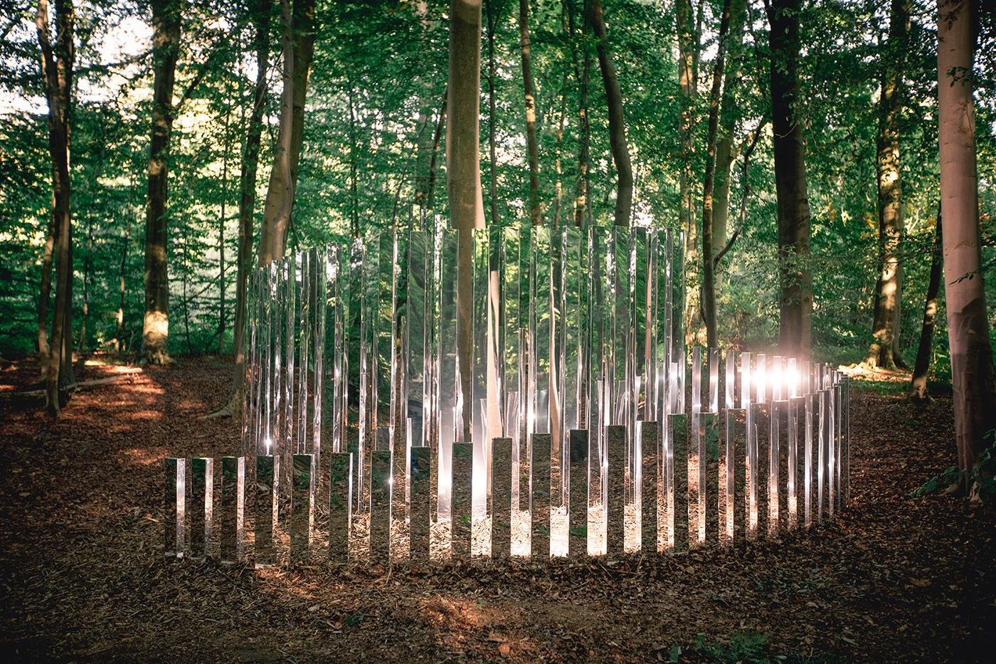 Forêt monumentale Silva connection