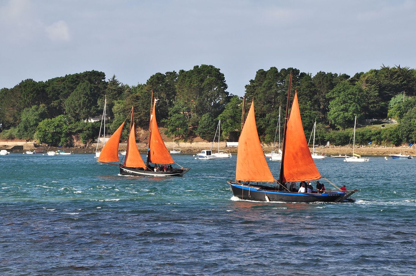 Bretagne Golfe du Morbihan Voiliers sinagots