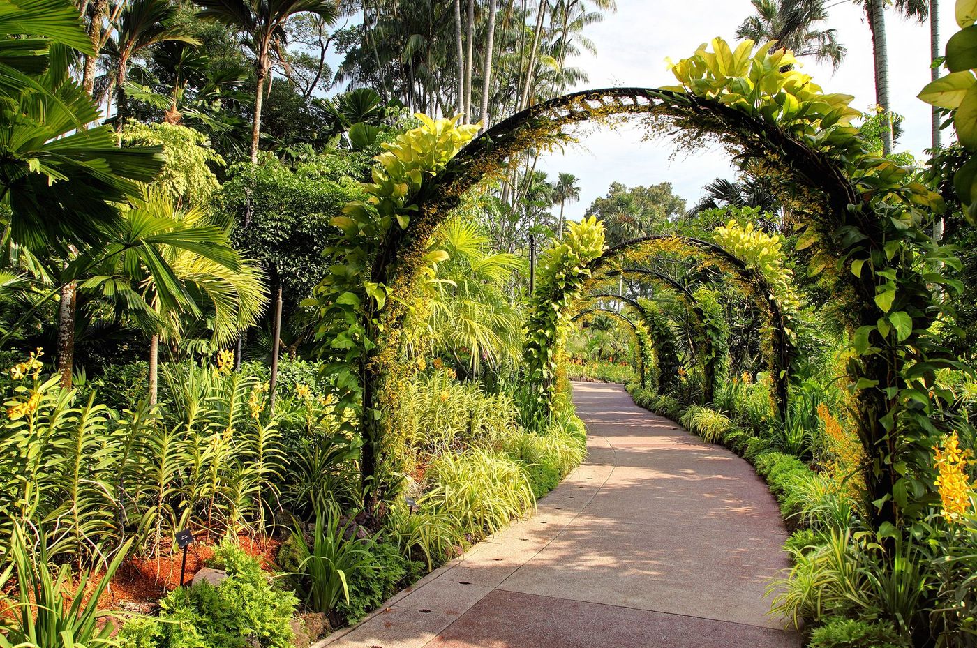 Singapour - jardin botanique