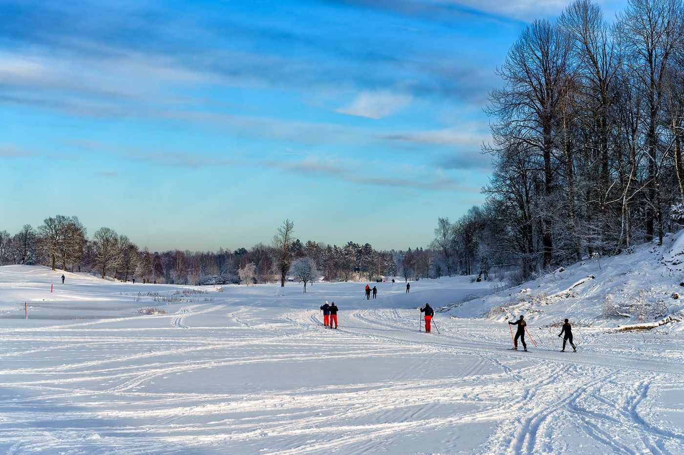 Ski de fond Stockholm