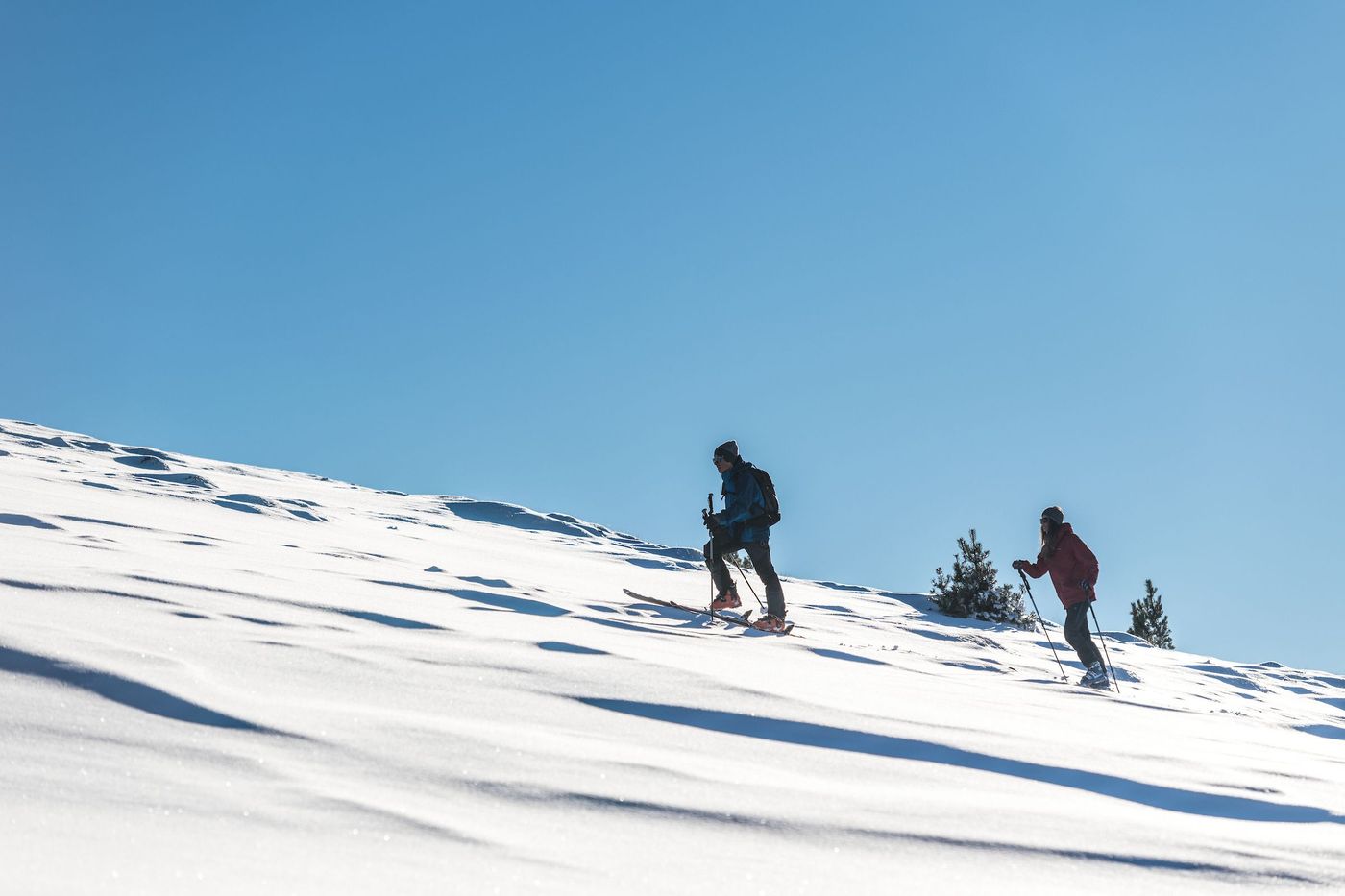 Ski de montagne