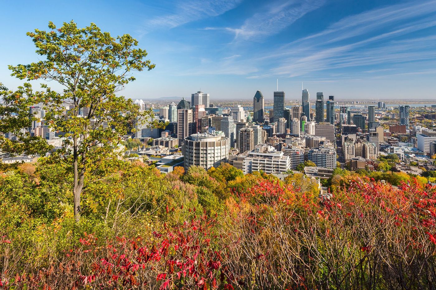 Skyline - Mont Royal