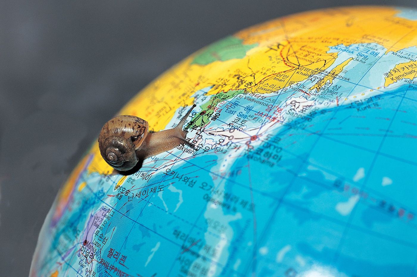 Slowtourisme