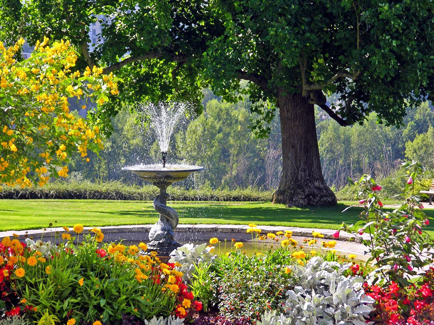 St Cyr Fleurs Villes