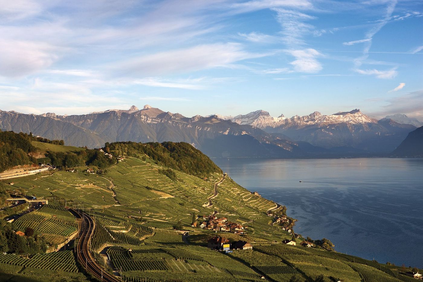 Suisse Lavaux Vignes