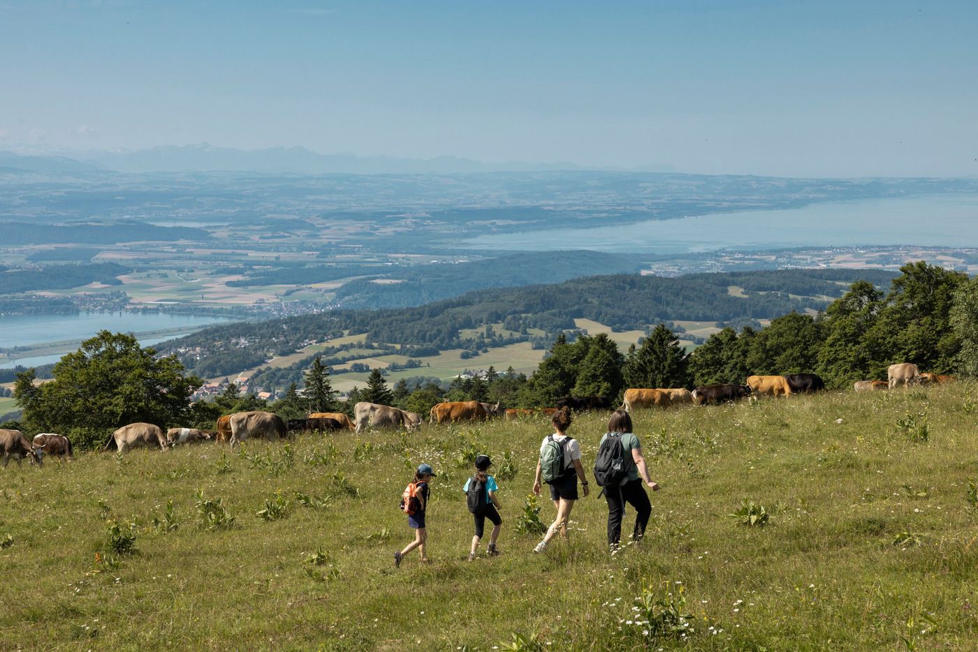 © Switzerland Tourism / Dominik Baur