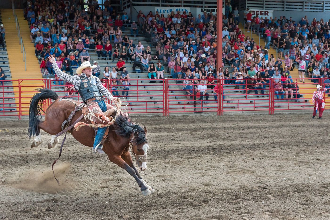 Stampede Rodeo Canada