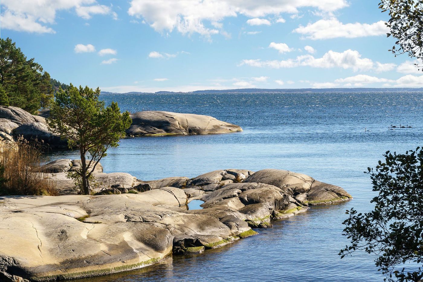 L'archipel de Stockholm dans la mer baltique