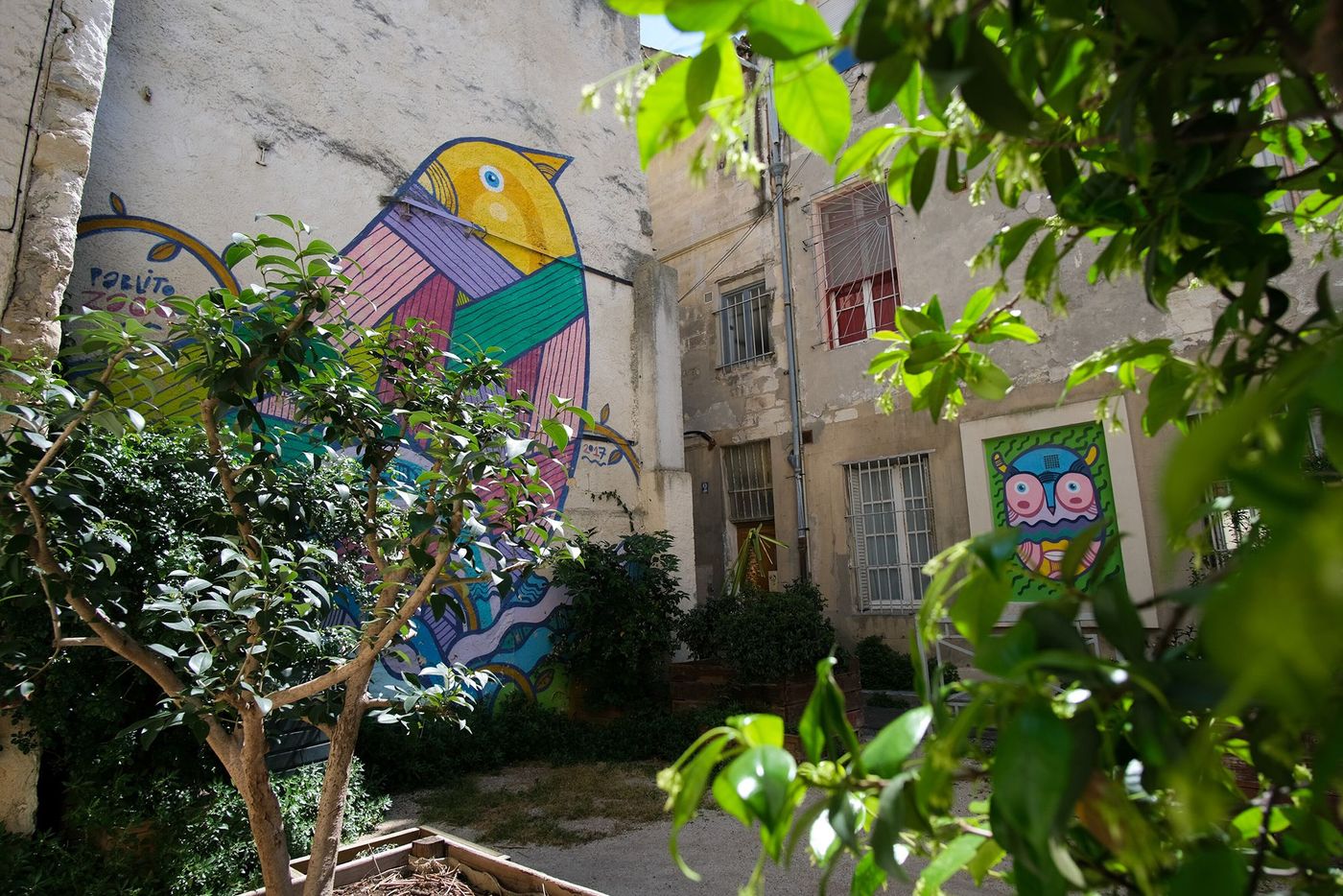 Street art Avignon