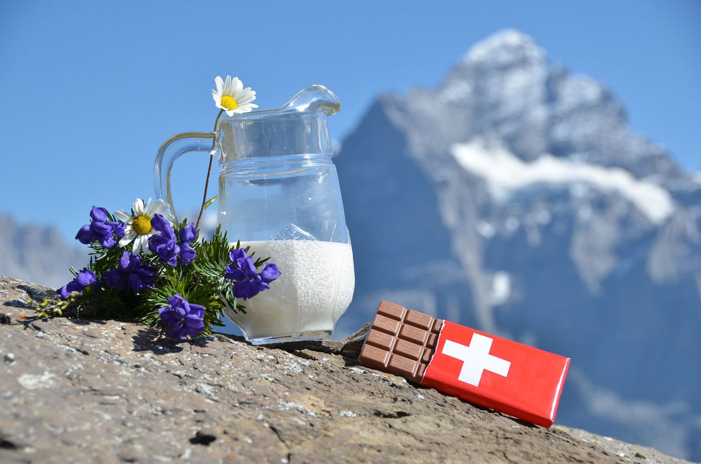 Suisse Chocolat