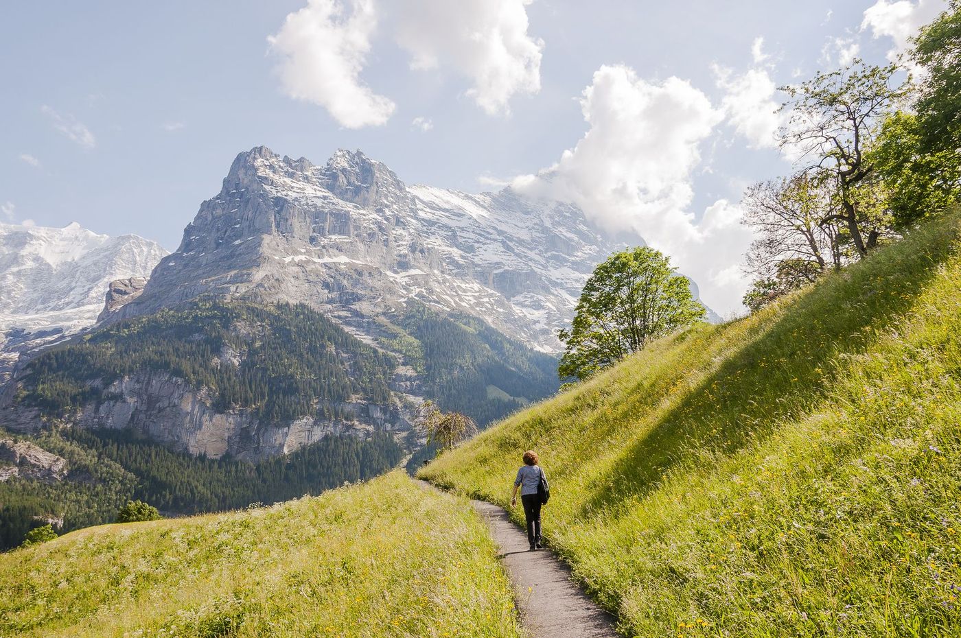 Suisse Eiger