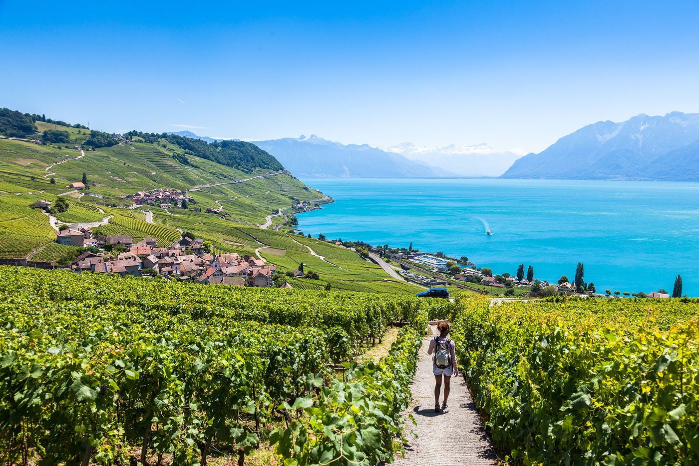 Suisse Lavaux Saint Saphorin
