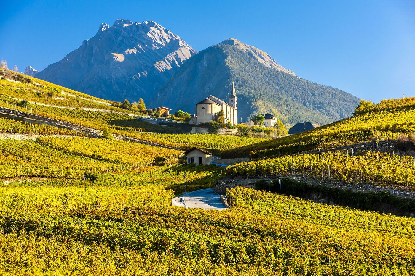 Suisse Valais Conthey