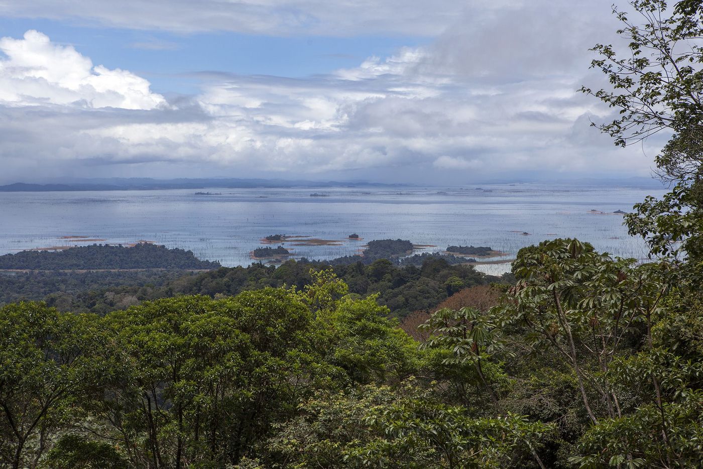 Surinam Parc Brownsberg