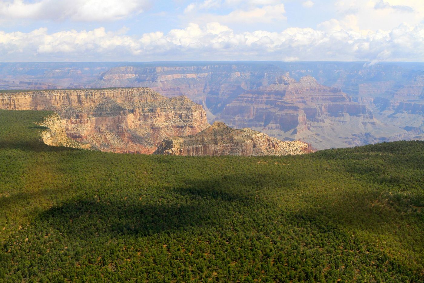 Survol foret et Grand Canyon