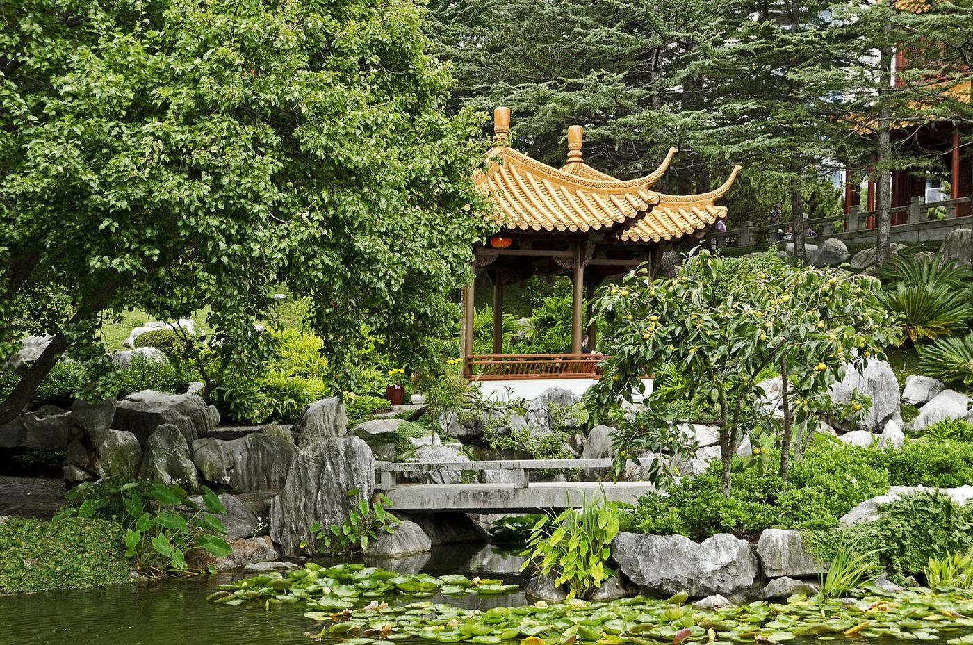 Australie Sydney Jardin chinois