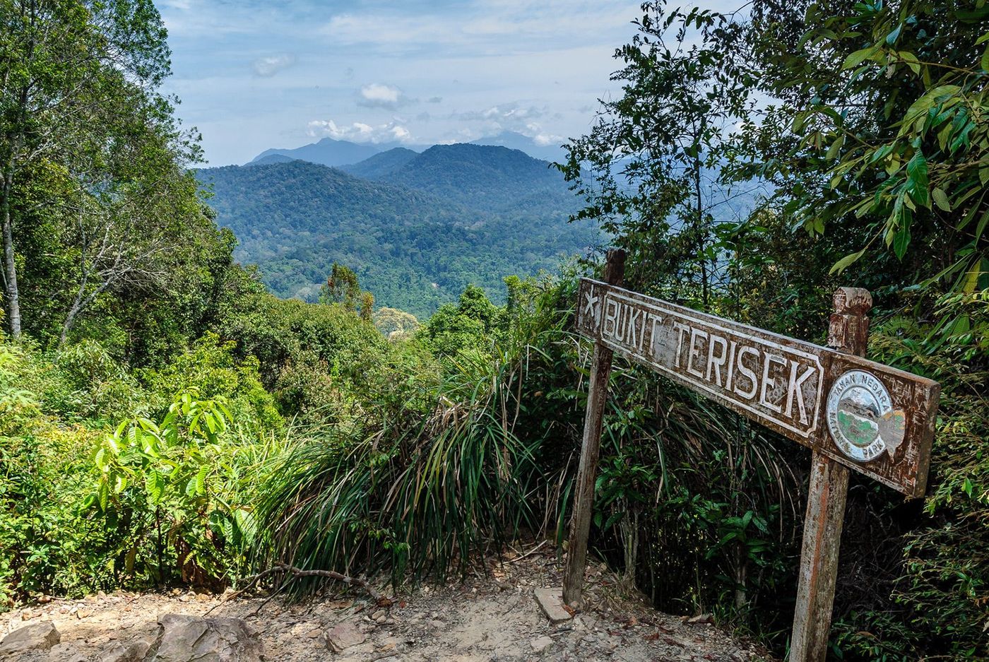 Malaisie Parc national de Taman Negara Bukit Terisek