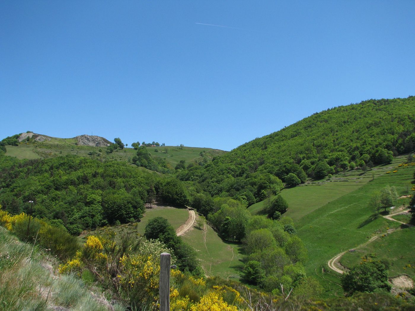 France Forêt du Tanargue