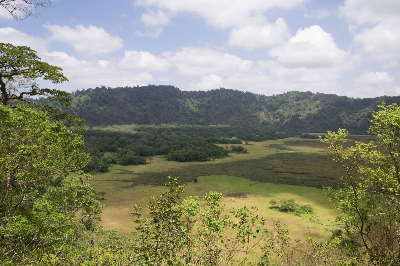Tanzanie Parc Arusha Cratère de Ngurdoto