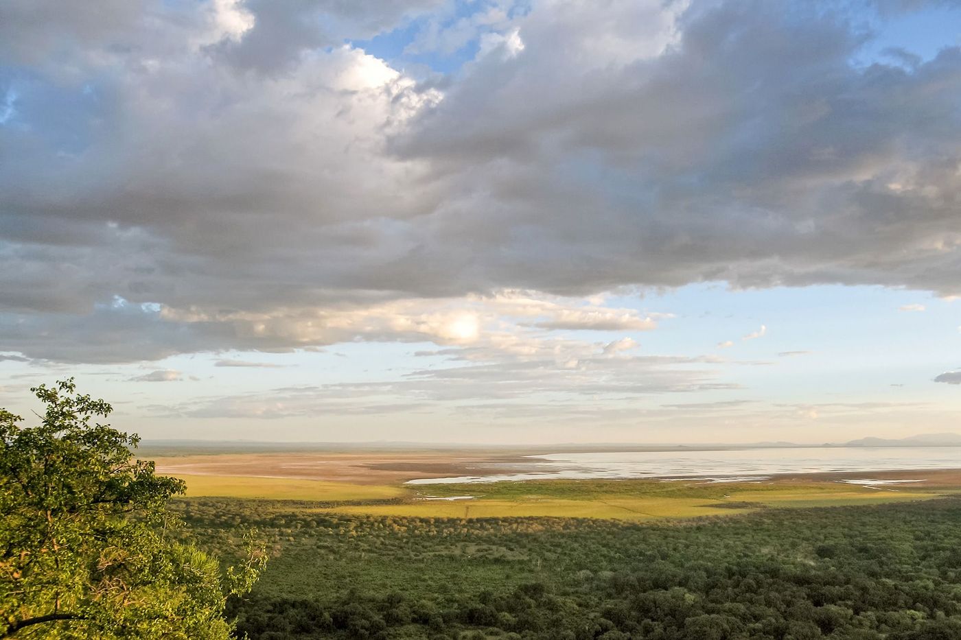 Tanzanie Lac Manyara