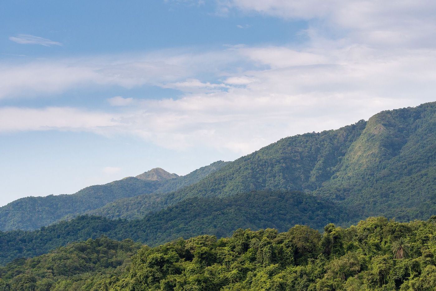 Tanzanie Parc Mahale