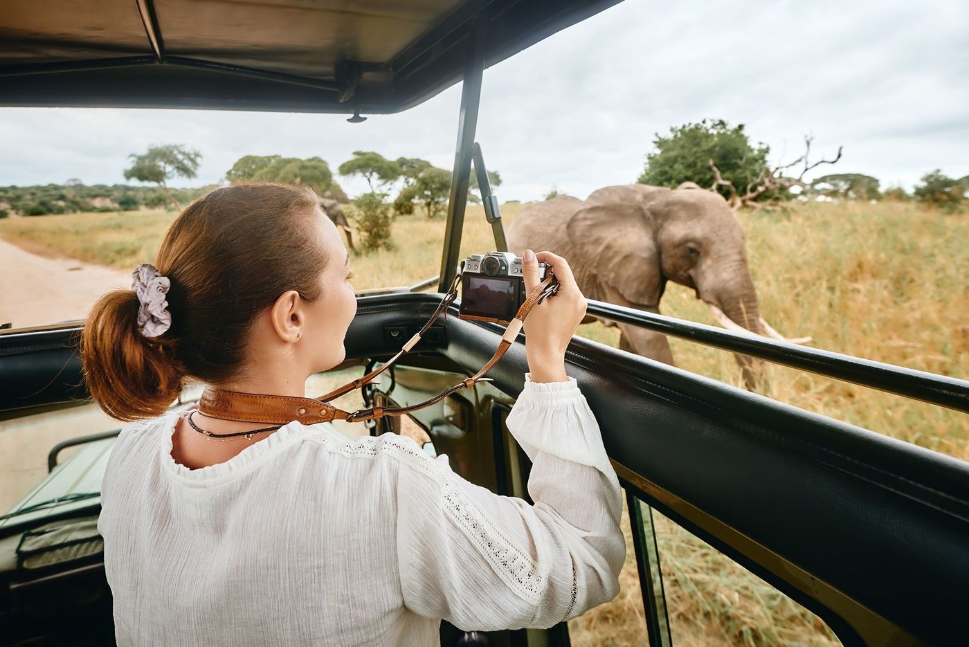 Tanzanie Safari