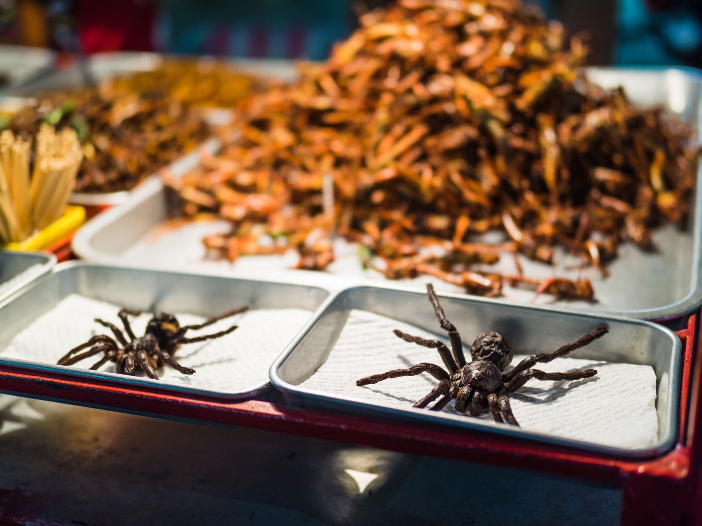Tarentules grillées - Bangkok