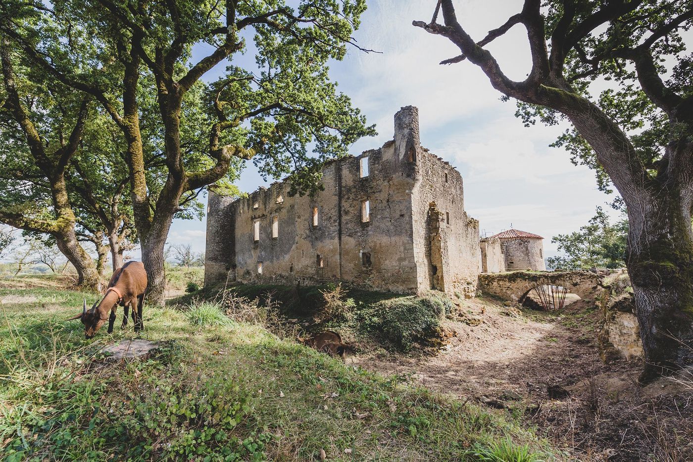 Tarn Château de Montfa