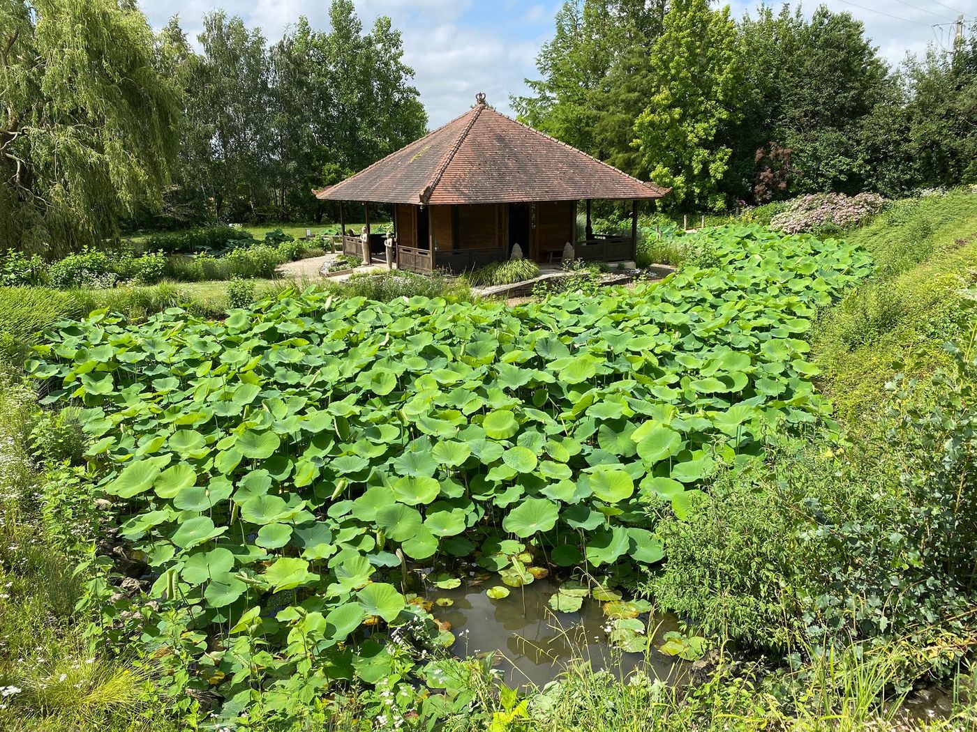 Tarn Jardin des Martels