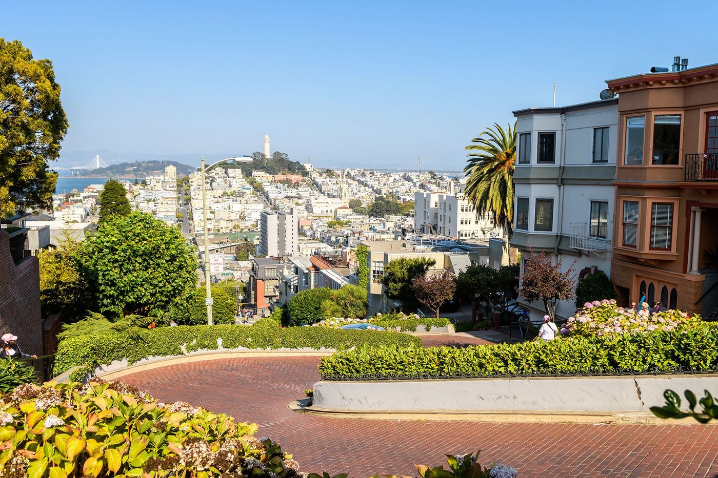 Telegraph Hill depuis Lombard Street